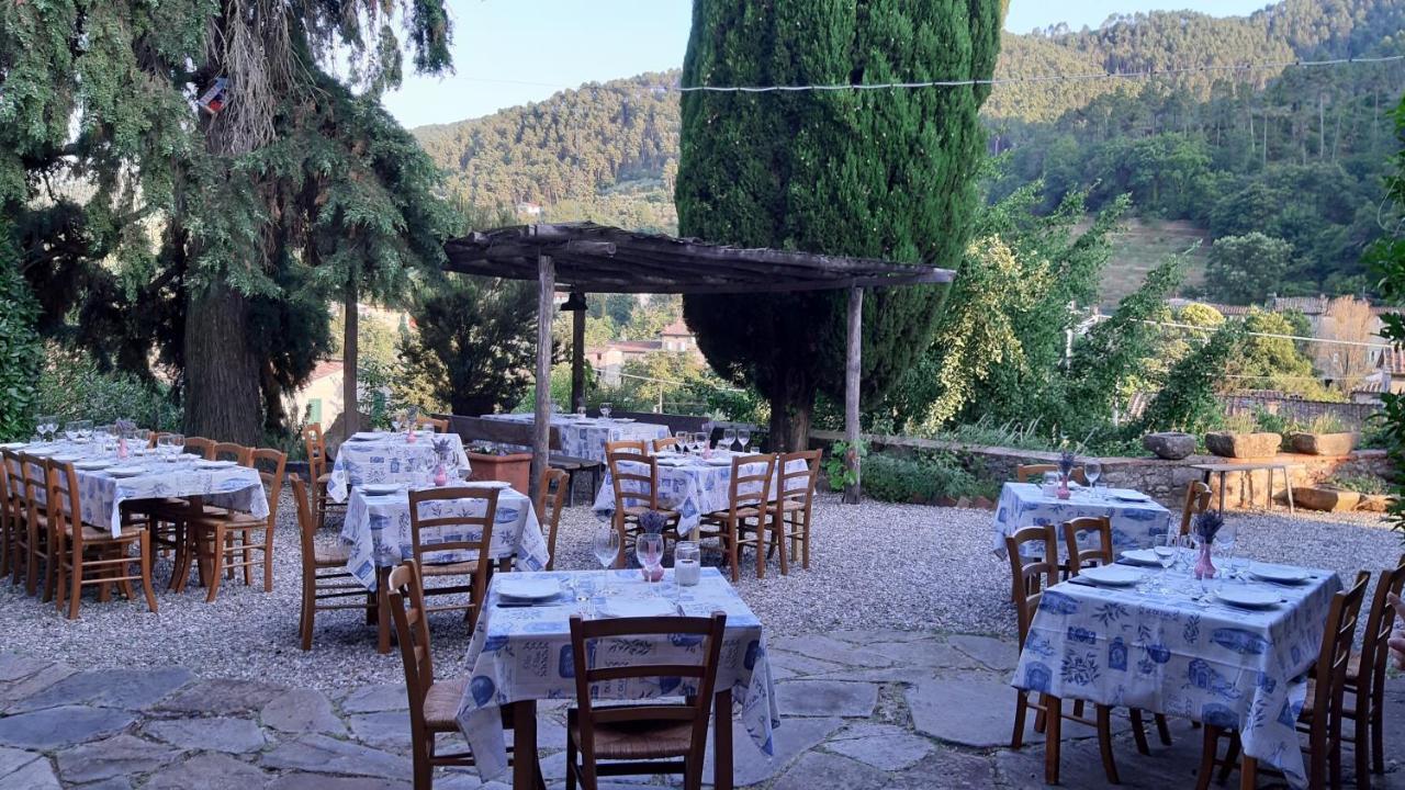 Villa Agriturismo Alle Camelie Capannori Exterior foto