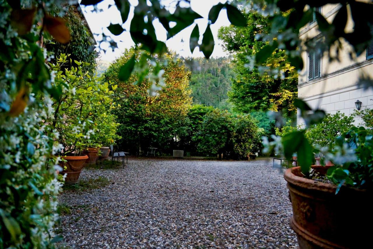 Villa Agriturismo Alle Camelie Capannori Exterior foto