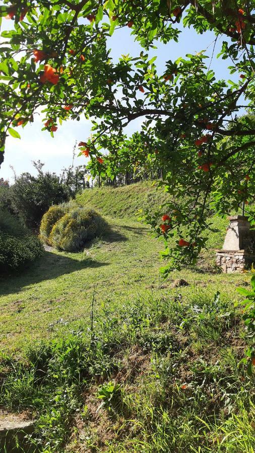 Villa Agriturismo Alle Camelie Capannori Exterior foto