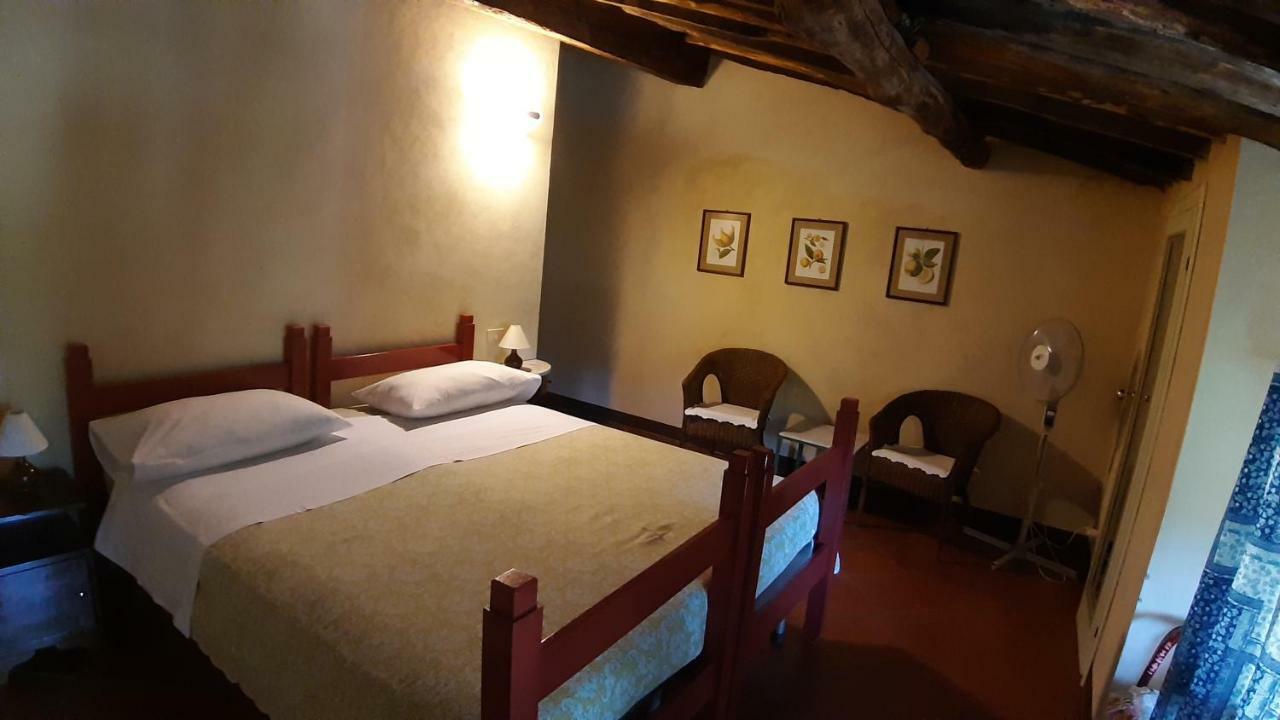Villa Agriturismo Alle Camelie Capannori Exterior foto